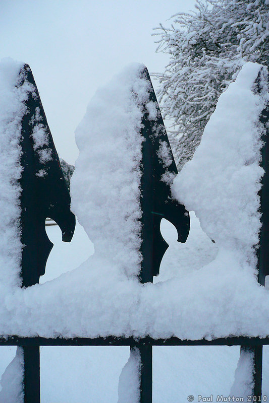 P1040026 Snowy Railings